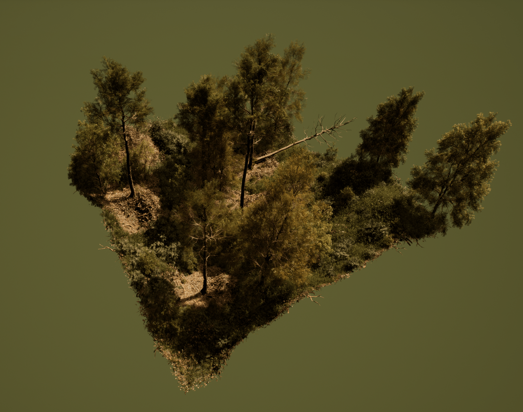 Screenshot of forest growth simulated in Unreal Engine